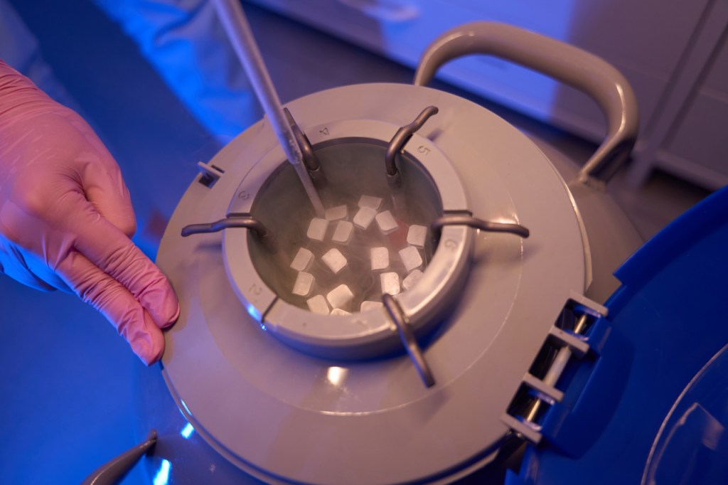 Séoul élargit les subventions pour la cryoconservation des&nbsp;ovocytes